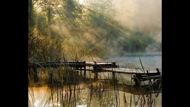 научиться фотографировать на никон 3100 смотреть онлайн
