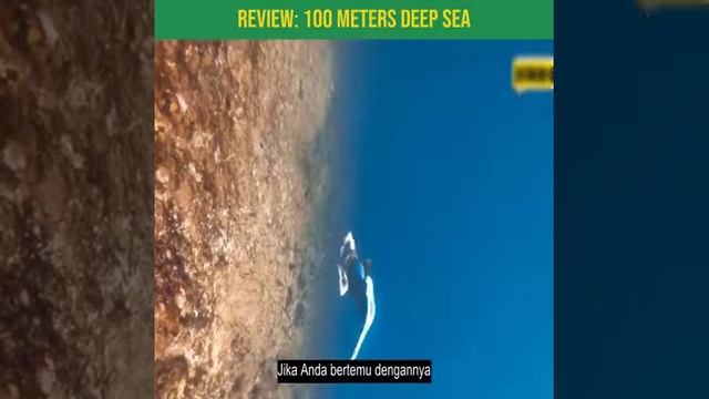 Review Film: 100 METERS DEEP SEA. смотреть онлайн