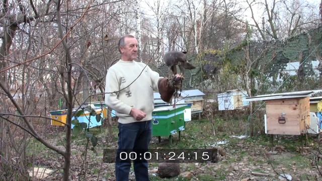 КАНЮК Кормление КАНЮКА 1 смотреть онлайн