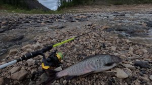Вечер, шум воды и рыбалка. Незапланированный выезд на реку.
