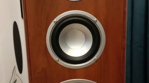 audio pro basiq 100 front