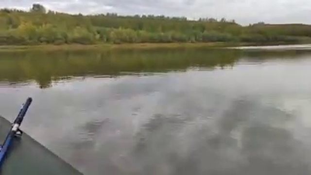 Рыбалка Иртыш 14.09.2022г. смотреть онлайн