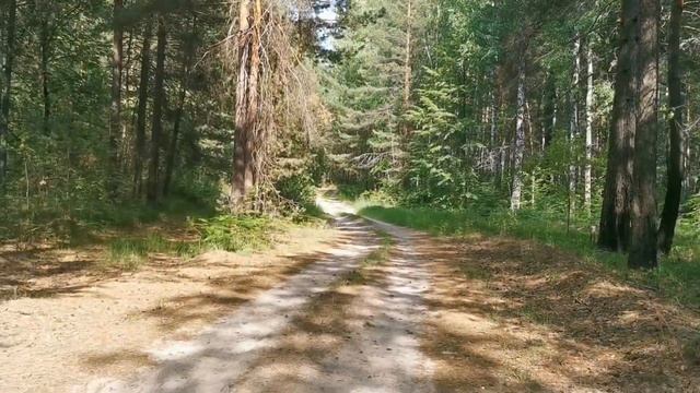 Море Леса Тюмень смотреть онлайн