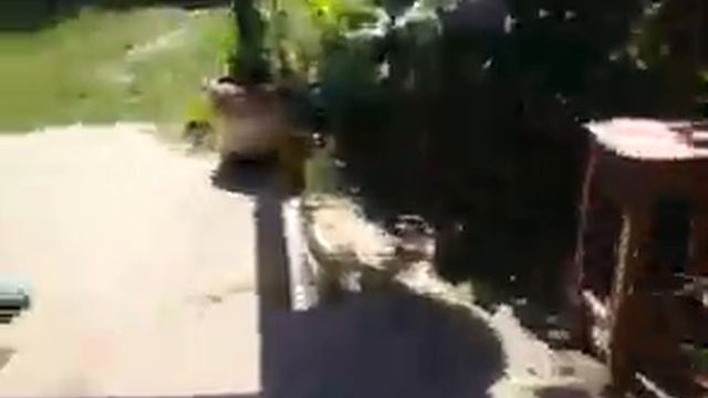 Я и Даша меняемся телами" смотреть онлайн