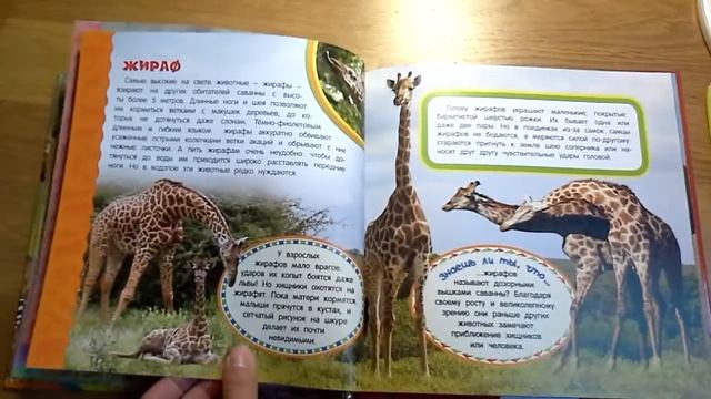 Животные Африки. Самая первая энциклопедия смотреть онлайн