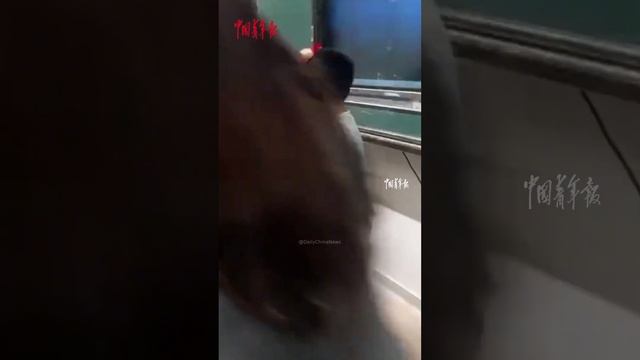 二年级小学生利用课间给高三的哥哥姐姐表演跳舞放松心情，瞬间引爆全场！ #DailyChinaNews #中国 #消息 #china #chinese