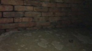 СЕПТИК ИЗ КИРПИЧА 2 ГОДА СПУСТЯ Что ВНУТРИ? Септик Своими Руками