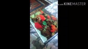 Как сделать фон аквариума (туториал)