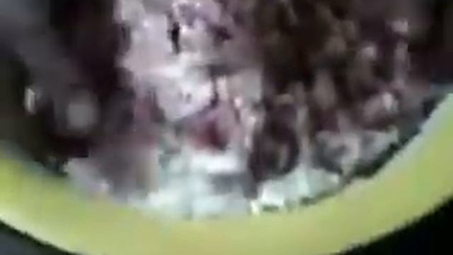 Кулинарные Фестивали и Конкурсы