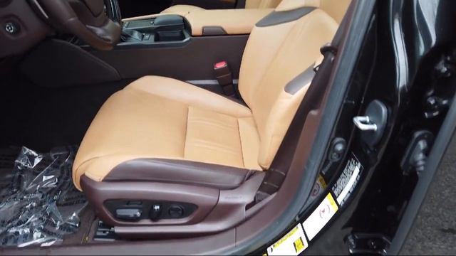 2019 Lexus ES 350 Sedan Bozeman Belgrade Big Sky Livingston Billings смотреть онлайн