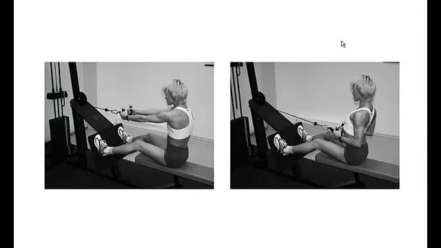 1 Видео лекция FPA Функциональная анатомия, основы биомеханики Калашников Д Г смотреть онлайн