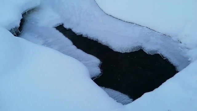 Приехали на родник , за вкусной водой . смотреть онлайн