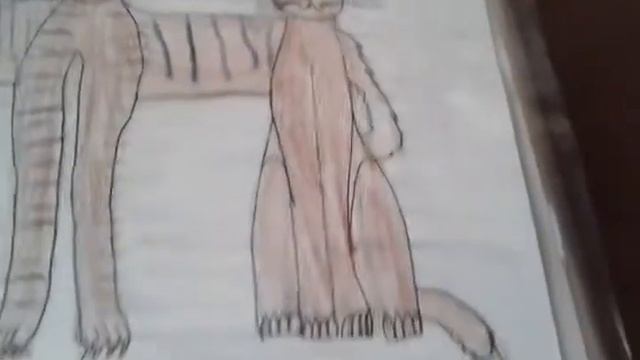 Рисунки котов воителей . смотреть онлайн