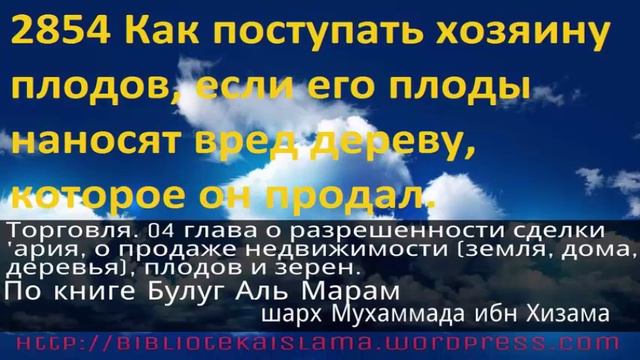 2854 Как поступать хозяину плодов, если его плоды наносят вред дереву, которое он продал смотреть онлайн