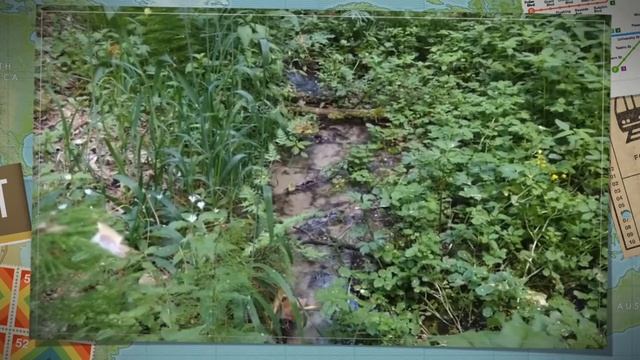 Что такое любовь? ❤️ В любви нет богов ? Любовь стихотворение смотреть онлайн