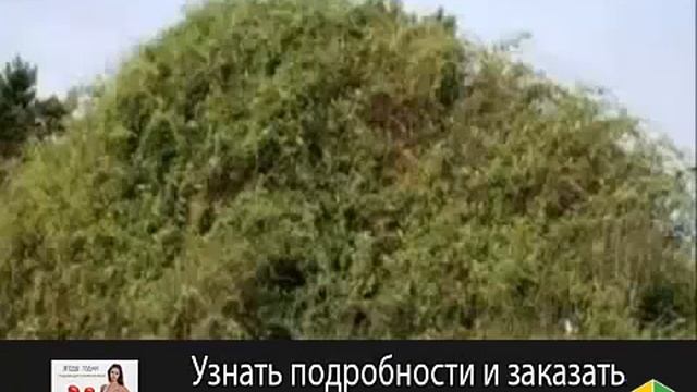 Мастер-классы оригами для начинающих