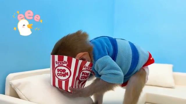 Обезьянка бон-бон.mp4 смотреть онлайн