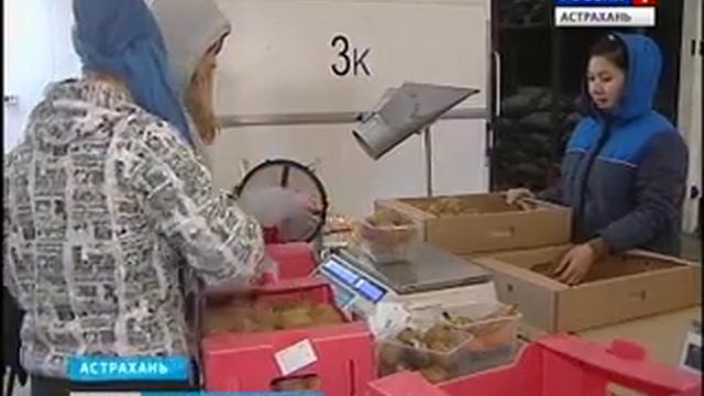 Астраханские оптовые компании распродают последние партии турецких товаров смотреть онлайн