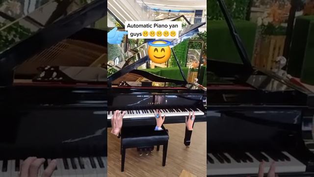 Piano playing by itself смотреть онлайн