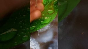 Польская снасть Салмо Трилл!  Salmo Trill Уловистая снасть