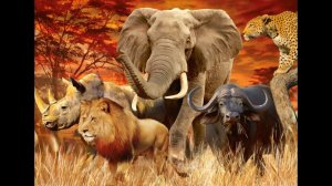 ЗОВ АФРИКИ. ДЛЯ ВСЕХ. ВЕДЬМИНА ИЗБА ▶️ ИНГА ХОСРОЕВА.