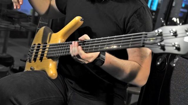 Warwick Corvette Standard - самый народный Варвик смотреть онлайн