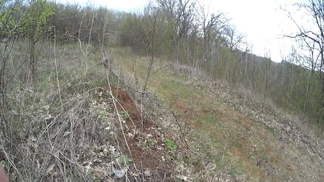 Нагонка гончей Заяц и гончая смотреть онлайн