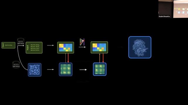 Nazim Bouatta | Machine learning for protein structure prediction, Part 2: AlphaFold2 architecture смотреть онлайн