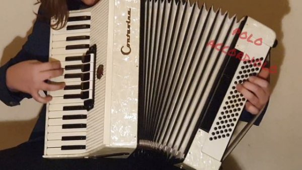 Akordeon Contasina 80b