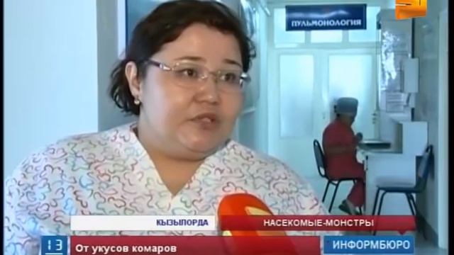 Жители Кызылординской области страдают от комаров смотреть онлайн