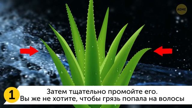 Я приготовила масло алоэ вера, и мои волосы стали расти вдвое быстрее смотреть онлайн