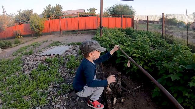 Жизнь в деревне | В деревню к бабушке | приключения | дети | видео для детей смотреть онлайн