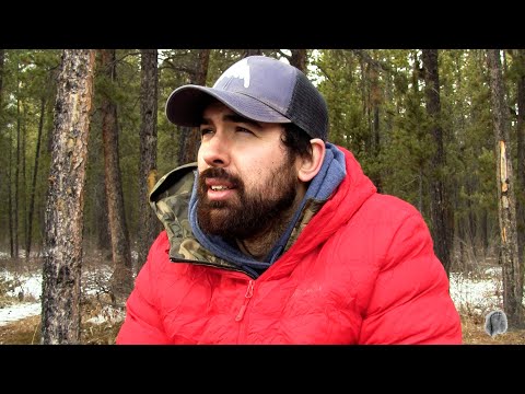 Bigfoot Expedition | Video Diary #3 | Government Cover-Up