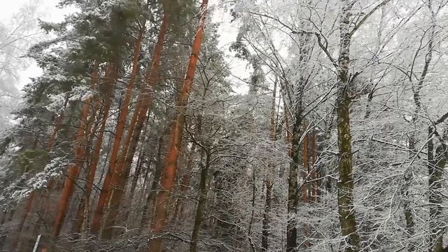 22 ноября. Матрона зимняя. смотреть онлайн