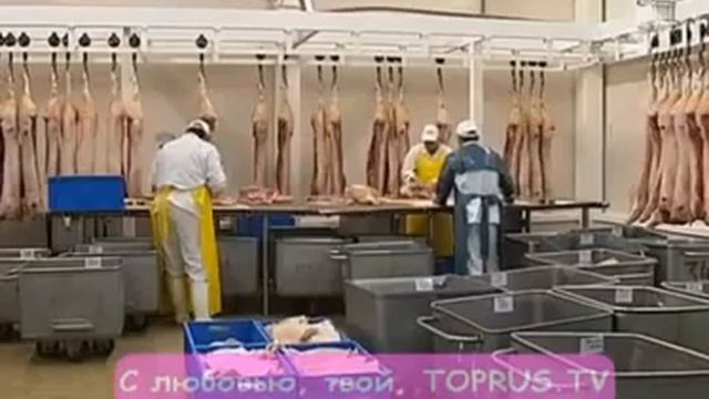 Анатолий Васерман: Открытым текстом 30.10.2015 смотреть онлайн