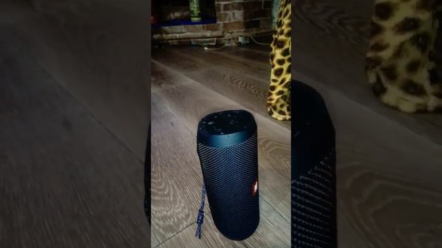Бас тест JBL Flip 4 смотреть онлайн