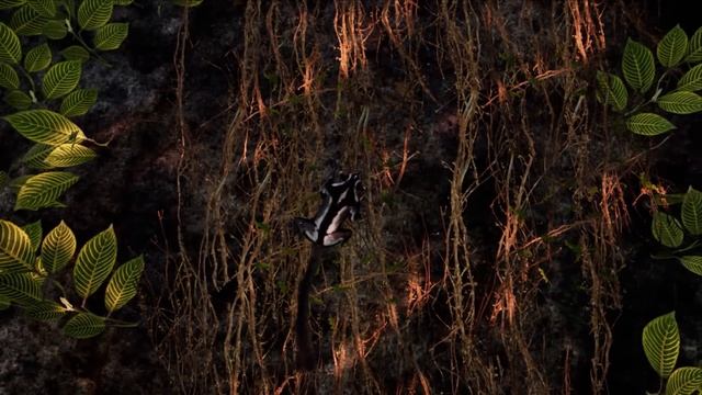 I'm a SUGAR GLIDER! | StacyPlays AWAY: The Survival Series (Full Game) смотреть онлайн