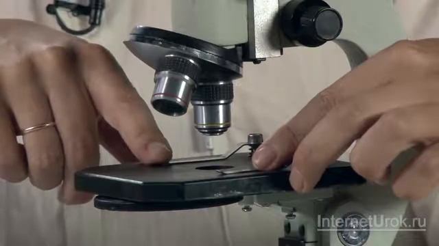 I чтв Биология 7, АКР №1 Устройство увеличительных приборов смотреть онлайн
