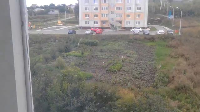 Что делать если не знаешь чем заняться смотреть онлайн