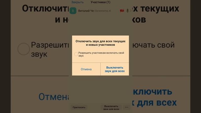 Как настроить звук в Zoom? Что делать, если звук не работает смотреть онлайн