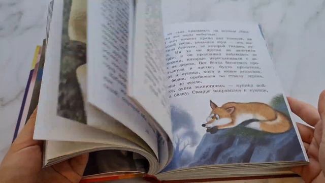 Путешествие Нильса с дикими гусями (ил. И. Панкова) смотреть онлайн