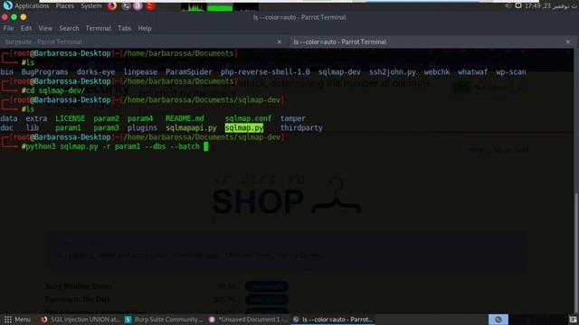 SQL Injection UNION Attack | Portswigger lab | sqlmap смотреть онлайн