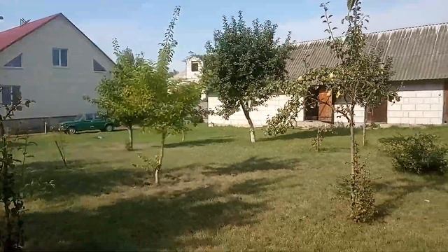 Утро Воскресенье Лето смотреть онлайн