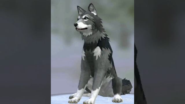 (мем) милый Хиппи WildCraft смотреть онлайн