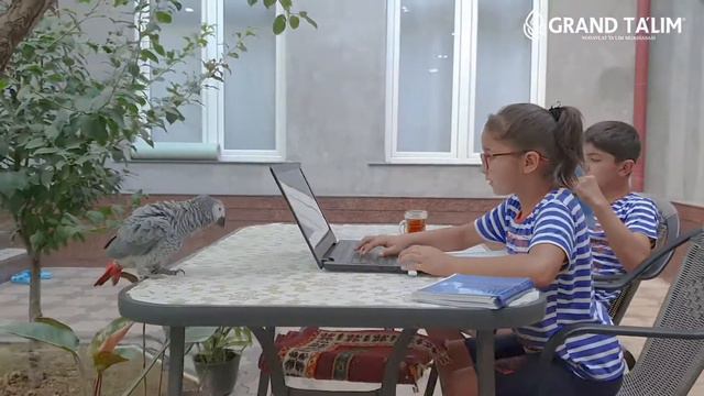 GRAND TA‘LIM onlayn darslar смотреть онлайн