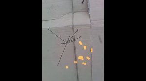 Связанная картечь, самокрут, результаты стрельбы