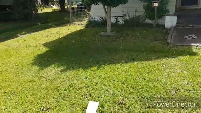 ВЫКИНУЛИ $500 А ВЗЯТЬ НЕ МОГУ .НЕ СВАЛКА , А БАРАХОЛКА В АВСТРАЛИИ . ШПЕРМЮЛЬ НАХОДКИ смотреть онлайн