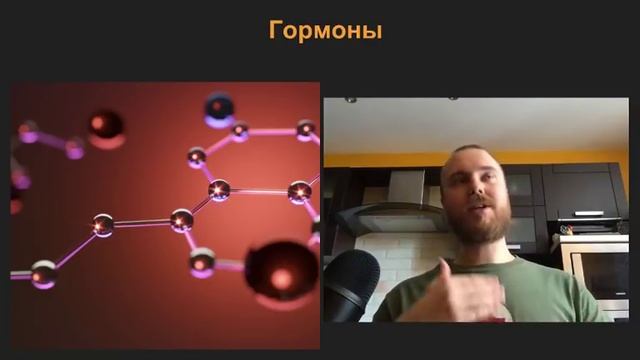 Отмазки жирных | Как люди оправдываются?