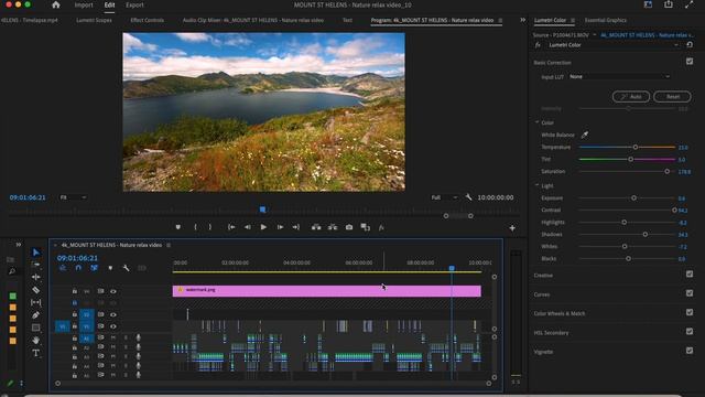 Уроки цветокоррекции природы в Adobe Premiere Pro – Проверка цвета в панели Lumetri – Часть #1 смотреть онлайн