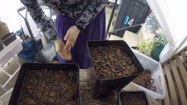 Посадка семян 2019 смотреть онлайн